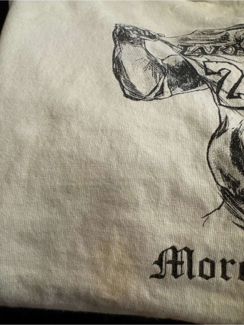 White Graphic Men’s Crewneck Shirt - More Than Ever - Picture 2 of 4